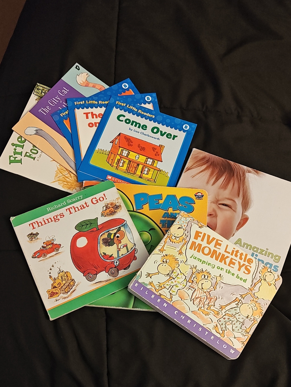 Toddler Book Bundle